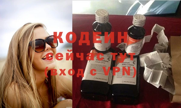 трава Гусь-Хрустальный