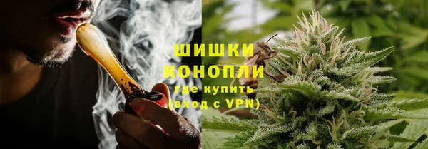 трава Гусь-Хрустальный